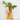 Glass Handbag Vase