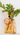 Glass Handbag Vase - Jarrones - La Cassa Mia