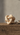Wood Knot - Nudo - La Cassa Mia